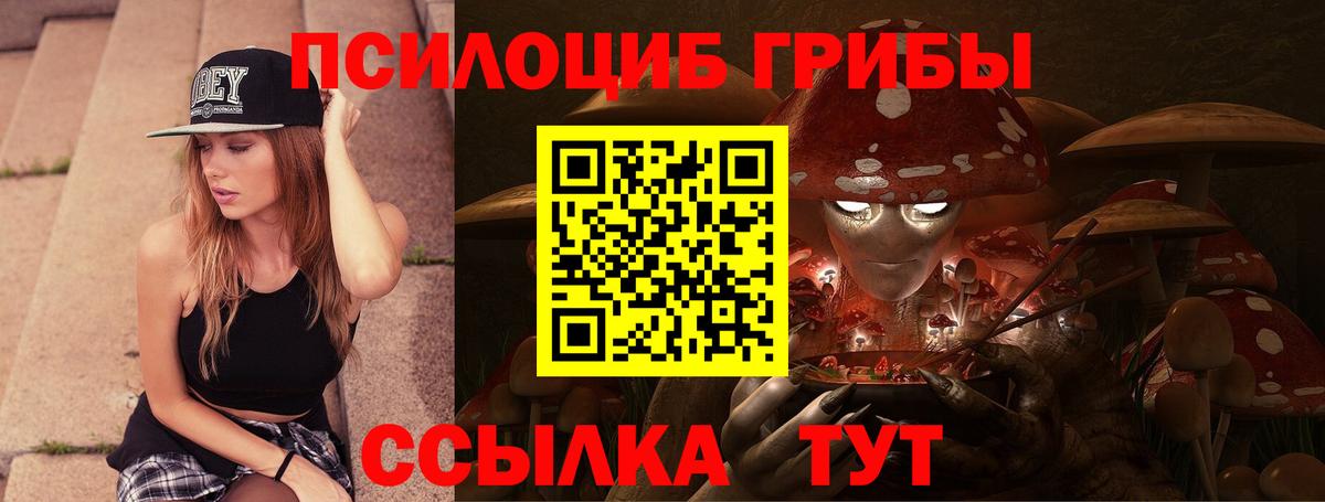 Котовск  Псилоцибиновые грибы GOLDEN TEACHER  Вход с VPN 
